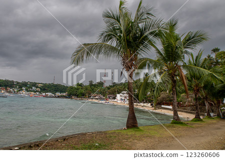 A view of a tropical coastline a rainy day. Palm trees, a dark sky, and ocean in the background A view of a tropical coastline a rainy day. Palm trees, a dark sky, and ocean in the background 123260606