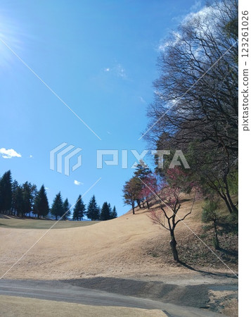 “藍天和美麗的高爾夫球場風景 | 山丘和綠樹” 123261026