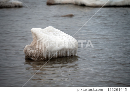 Close-up shot of the Frozen ice blocks in Baltic sea water on the shore, Kaltene, Latvia 123261445