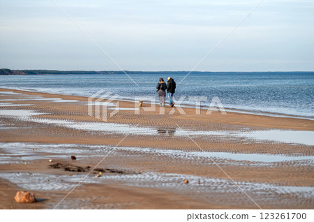 Senior couple walking their dog on the beach 123261700