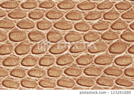 Texture of genuine leather closeup, trendy pattern, scaly exotic reptile, fashion background, Mocha mousse color tones Texture of genuine leather closeup, trendy pattern, scaly exotic reptile, fashion background, Mocha mousse color tones 123261880