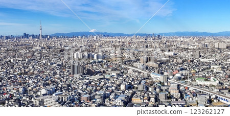 「東京」東京和富士山的城市景觀，城市景觀 123262127
