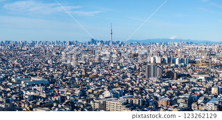 「東京」東京和富士山的城市景觀，城市景觀 123262129