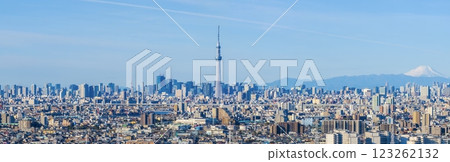 「東京」東京和富士山的城市景觀，城市景觀 123262132