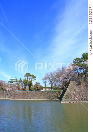 Scenery of cherry blossoms in full bloom and Nagoya Castle, Nagoya City, Aichi Prefecture Scenery of cherry blossoms in full bloom and Nagoya Castle, Nagoya City, Aichi Prefecture 123262174