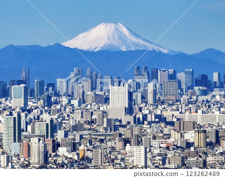 「東京」東京和富士山的城市景觀，城市景觀 123262489