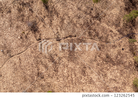 Aerial View of a Wooden Path Through Dry Grass in a Chuzu Marsh, Latvia Aerial View of a Wooden Path Through Dry Grass in a Chuzu Marsh, Latvia 123262545