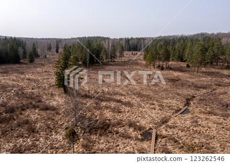 Aerial View of a Chuzu Marsh Nature Trail With Wooden Boardwalks in Spring, Latvia 123262546