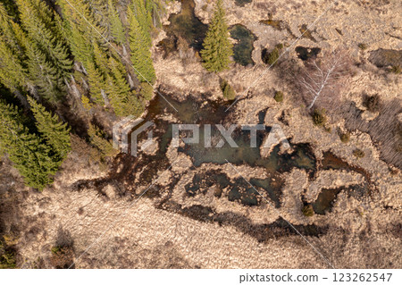 Aerial View of a Springtime Forest Stream and Chuzu Marsh, Latvia Aerial View of a Springtime Forest Stream and Chuzu Marsh, Latvia 123262547