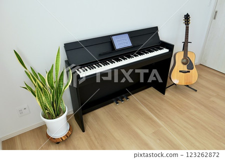 Electronic piano and guitar "Houseplants" "Tablet music" "Side angle" 123262872