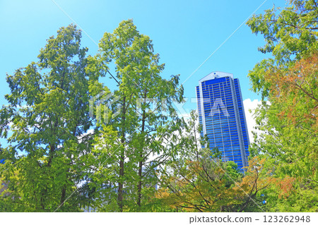 Kobe City Hall and fresh greenery in Kobe, Hyogo Prefecture 123262948