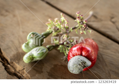 asian whole cashew fruit outdoors in thailand farm 123263419