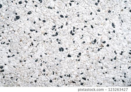grainy white texture with crumbs of black stones. Paving Tile pattern grainy white texture with crumbs of black stones. Paving Tile pattern 123263427