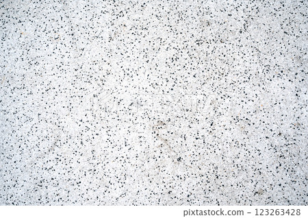 grainy abstract white texture with crumbs of black stones. The pattern of sidewalk surface grainy abstract white texture with crumbs of black stones. The pattern of sidewalk surface 123263428