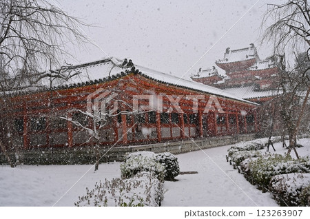 從神社花園看到的白虎路、西幌和暴風雪（平安神宮） 123263907