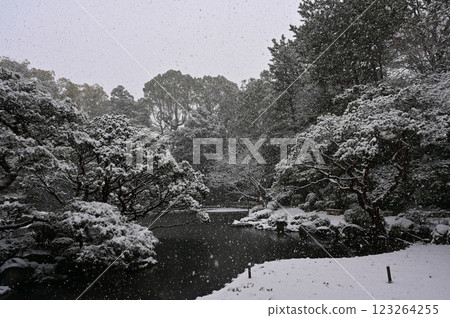 Snowstorm and pond in the shrine garden (Heian Shrine) Snowstorm and pond in the shrine garden (Heian Shrine) 123264255