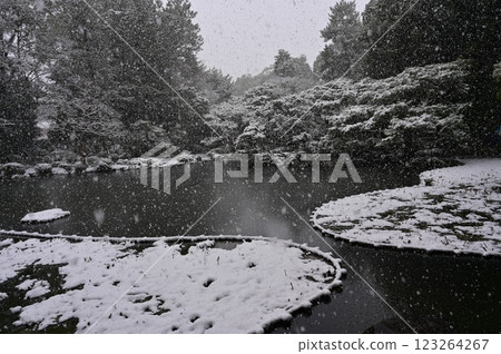 Snowstorm and pond in the shrine garden (Heian Shrine) Snowstorm and pond in the shrine garden (Heian Shrine) 123264267