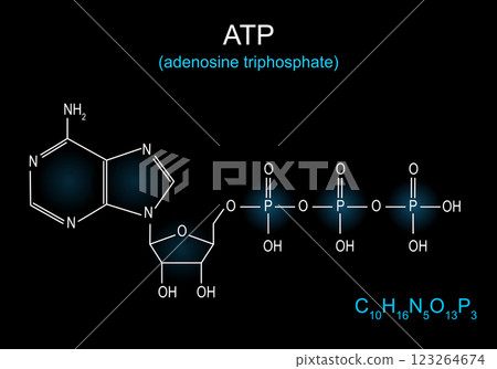 Skeletal formula of ATP 123264674
