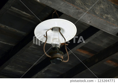 Lamp 123264771