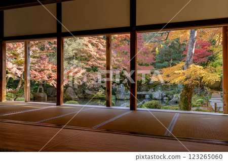 Kyoto Rakuhoku, Takano River (Wakasaji), Rengeji Temple, Autumn leaves in the pond garden (view from the shoin) 123265060