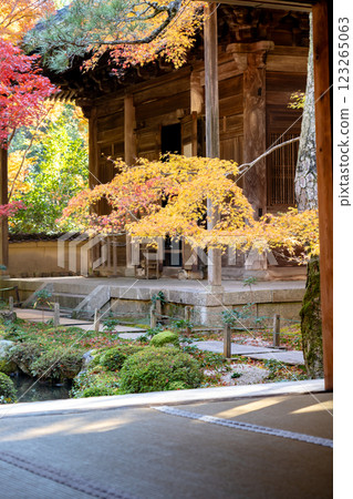 Kyoto Rakuhoku, Takanogawa (Wakasaji), Rengeji Temple, main hall and autumn leaves (view from the Shoin) 123265063
