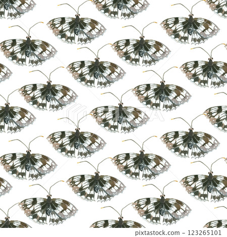 Seamless watercolor pattern. Insects, butterflies black and white hand-drawn with watercolor and isolated on a white background. Suitable for printing on fabric, paper, stationery and scrapbooking. Seamless watercolor pattern. Insects, butterflies black and white hand-drawn with watercolor and isolated on a white background. Suitable for printing on fabric, paper, stationery and scrapbooking. 123265101