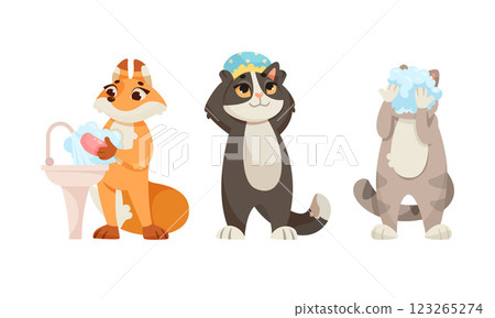 Animal Characters and Hygiene Rules Washing and Grooming Vector Set Animal Characters and Hygiene Rules Washing and Grooming Vector Set 123265274