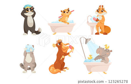 Animal Characters and Hygiene Rules Washing and Grooming Vector Set Animal Characters and Hygiene Rules Washing and Grooming Vector Set 123265278