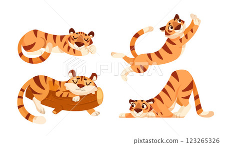 Cute Tiger Cub with Striped Orange Fur in Different Pose Vector Set 123265326