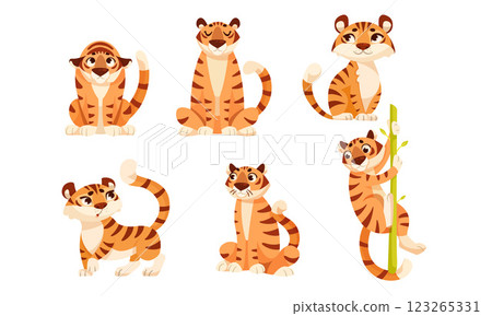 Adult Tiger with Striped Coat in Different Pose Vector Set Adult Tiger with Striped Coat in Different Pose Vector Set 123265331