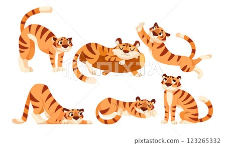Adult Tiger with Striped Coat in Different Pose Vector Set 123265332