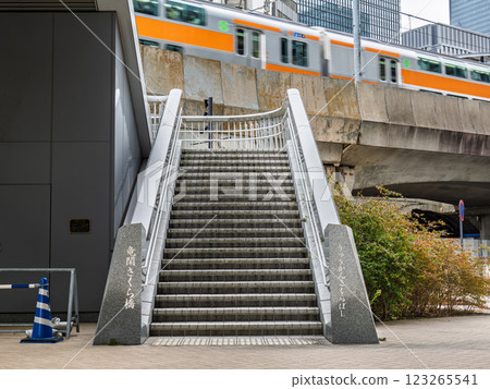 大手町側日本橋川上的人行橋「龍冠櫻花橋」（東京都千代田區） 123265541