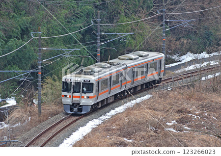 Gotemba Line Suruga-Oyama-Taniga JR Central 313 series W2 train (Shizuoka) 123266023