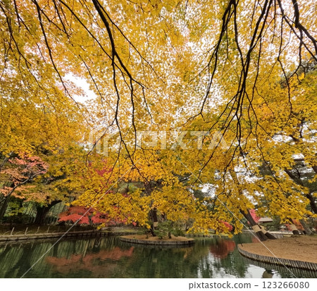 由美術館的紅葉 由美術館的紅葉 123266080