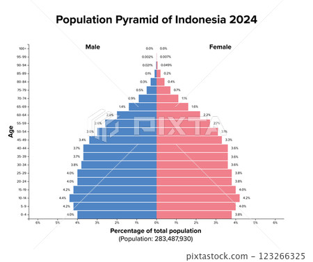 Population pyramid of Indonesia 2024. Age structure diagram and graphical illustration of distribution of over 283 million people, divided into females and males, quoted in percent and 4-year steps. 123266325