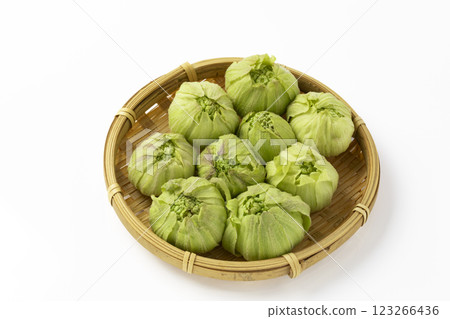 白背景篩子上的蜂斗菜芽 123266436