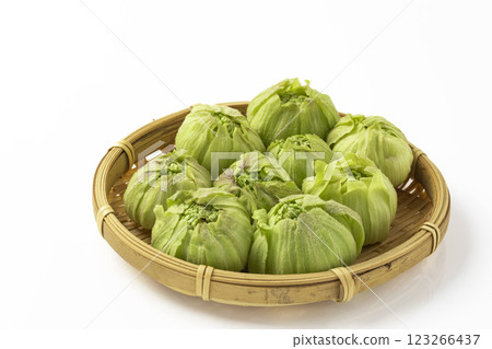 白背景篩子上的蜂斗菜芽 123266437