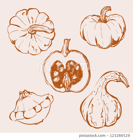 Vector vegetable doodle illustration of pumpkin. Hand-drawn garden harvest sketch. Organic farm graphics. Tasty food for design, veggie market drawing print, fabric or background. Vector vegetable doodle illustration of pumpkin. Hand-drawn garden harvest sketch. Organic farm graphics. Tasty food for design, veggie market drawing print, fabric or background. 123266529
