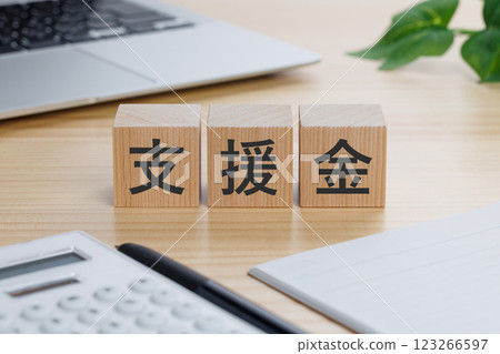 A block with the word "donation" written on it on the table 123266597