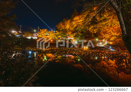 Illuminated autumn foliage at Korankei in Toyota City (Aichi Prefecture) 123266667