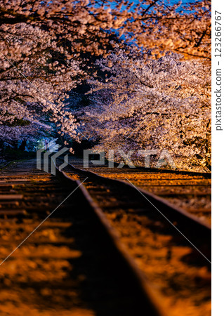 Cherry blossom scenery at Keage Incline, Kyoto Prefecture 123266767