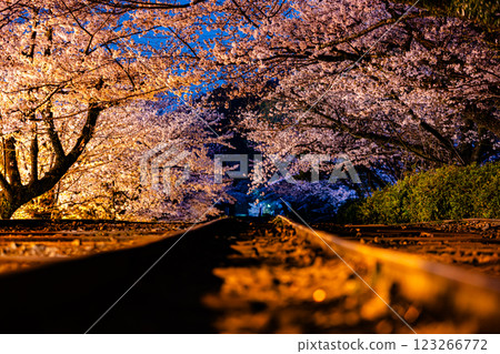 Cherry blossom scenery at Keage Incline, Kyoto Prefecture 123266772