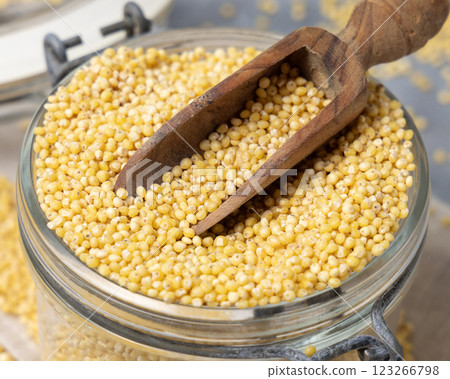 Glass jar of raw uncooked yellow millet grain with a wooden scoop closeup. Ancient food Glass jar of raw uncooked yellow millet grain with a wooden scoop closeup. Ancient food 123266798