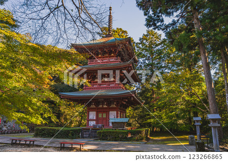 A view of the three-story pagoda at Yusanji Temple in Fukuroi City, Shizuoka Prefecture, surrounded by autumn leaves 123266865