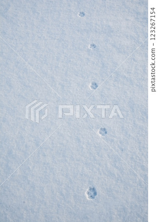 heart, footprint, trace 123267154