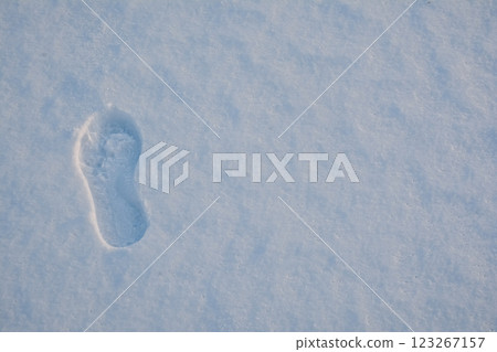 Human footprint in the snow. A person walked on the snow. Shoe print on the snow	 123267157