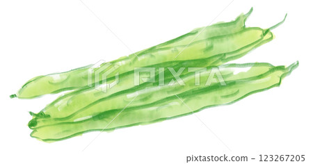 新鮮美味的芸豆水彩畫 123267205