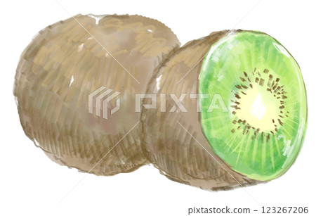 新鮮美味的獼猴桃水彩插圖 123267206