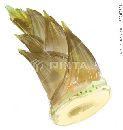 Watercolor illustration of fresh and delicious spring bamboo shoots 123267208