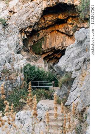 Rocky cave entrance with bridge amidst lush vegetation Rocky cave entrance with bridge amidst lush vegetation 123267505